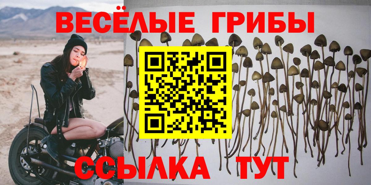 Галлюциногенные грибы MAGIC MUSHROOMS  Вход с VPN  где купить наркотик  Муравленко 